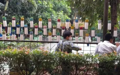 Vertikal Garden Kreatif dari Botol Bekas